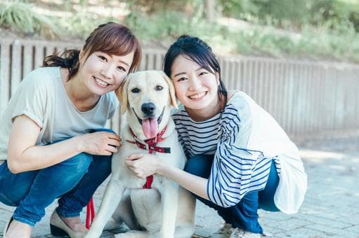 【経験者優遇】日野のショートステイでドッグセラピーレク